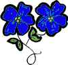 Blue flower