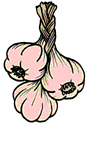 garlic.gif - 3.9 K