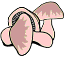 mushroom.gif - 4.1 K