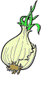 onion.gif - 3.2 K