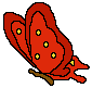 Red butterfly
