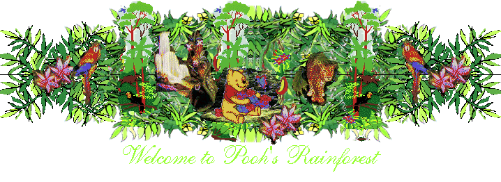 Welcome to Pooh's Rainforest
